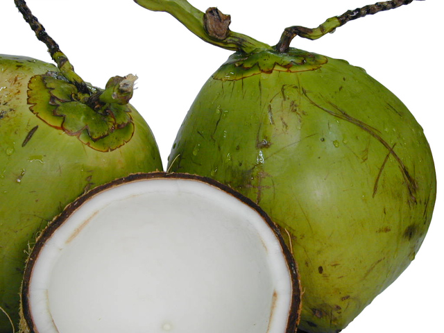 ještě zelený kokosový ořech utržený ze stromu