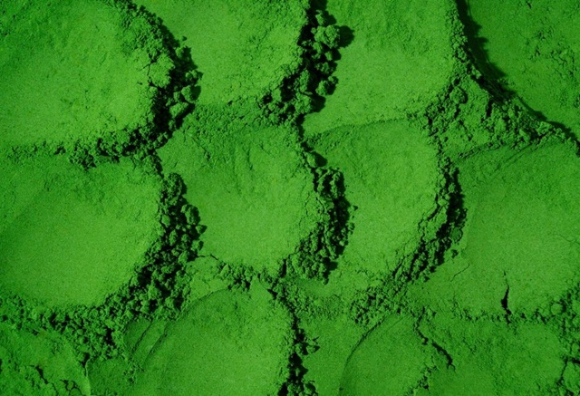 snímek kratomu